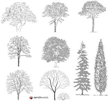 Archweb dwg alberi
