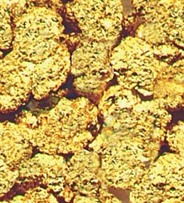 metal_550