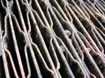 metal_253
