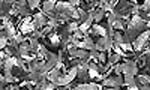 metal_556