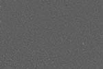 metal_607