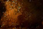 metal_631