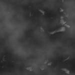 metal_674