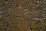 metal_697