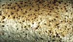 metal_720