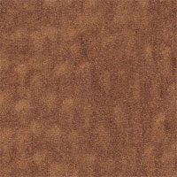 copper_rame_67