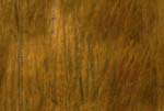 copper_rame_04