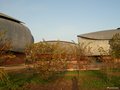 Auditorium_Roma_110
