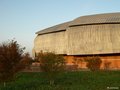 Auditorium_Roma_130