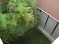 Auditorium_Roma_108
