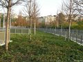 Auditorium_Roma_107