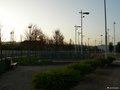 Auditorium_Roma_144