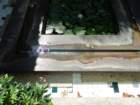 fond_q_stampalia_71_small.jpg