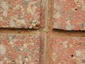 La_Rinascente_126