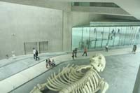 MAXXI_Roma_int_77