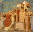 Giotto - Scrovegni - [08] - Presentation of the Virgin in the Temple