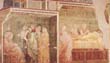 Giotto - Life of St John the Baptist - [02] - Birth and Naming of the Baptist
