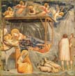 Giotto - Scrovegni - [17] - Nativity, Birth of Jesus