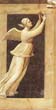 Giotto - Scrovegni - [46] - Hope
