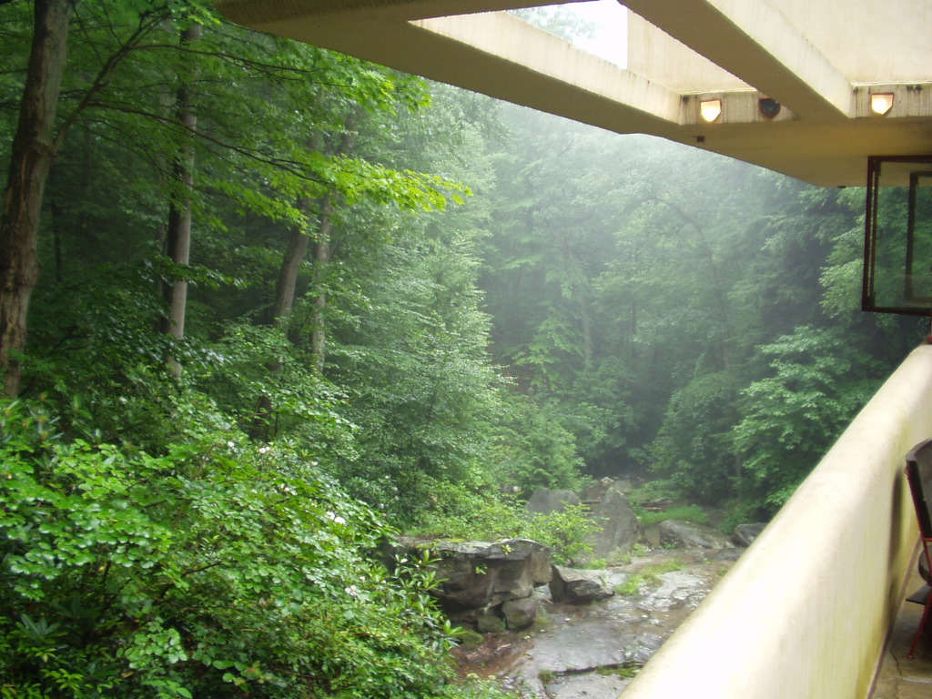 fallingwater_19