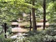 fallingwater_25