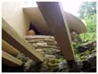 fallingwater_26