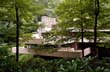 fallingwater_8