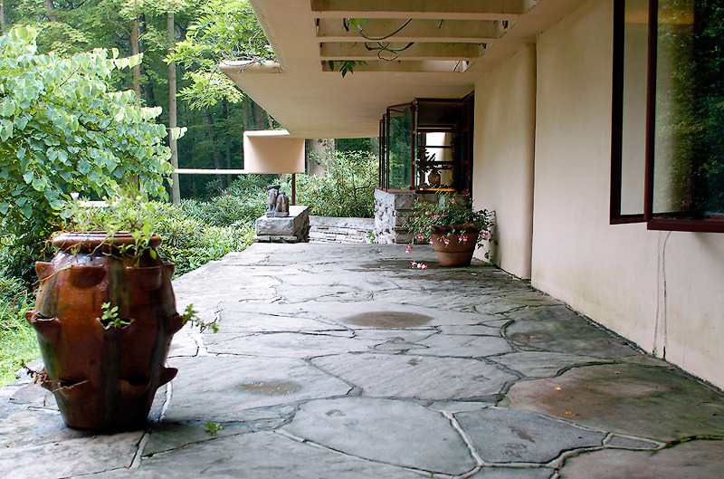 fallingwater_15