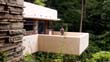 fallingwater_11