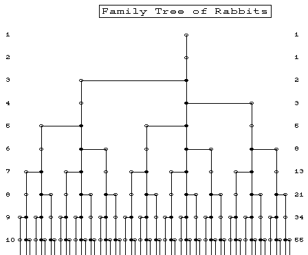 conigli3.gif (5152 byte)