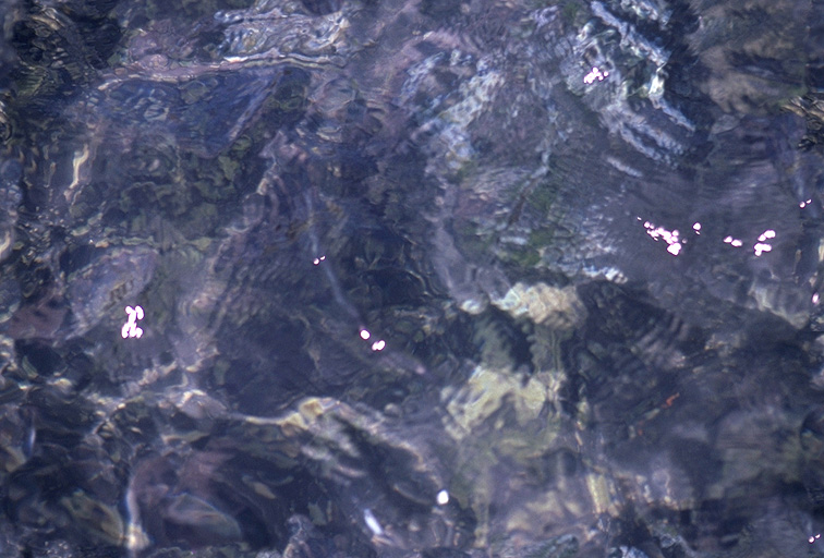 water_261