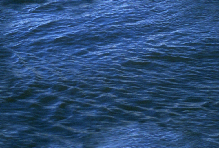 water_262