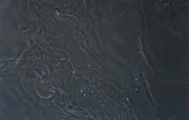 water_29