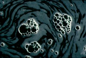 water_298
