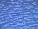 water_51