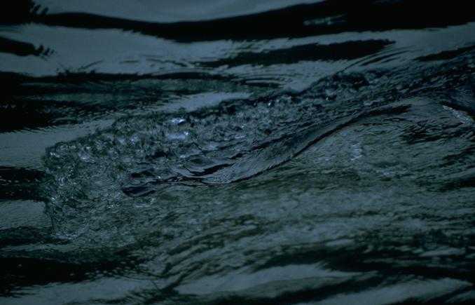 water_71