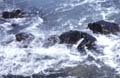 water_101