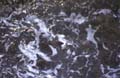 water_103