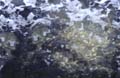 water_104