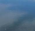 water_11