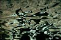 water_119