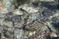 water_176