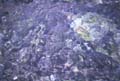 water_196