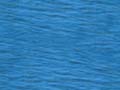 water_212