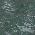 water_247