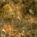 water_250