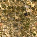 water_251