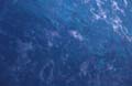 water_256