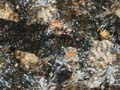 water_259