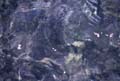water_261